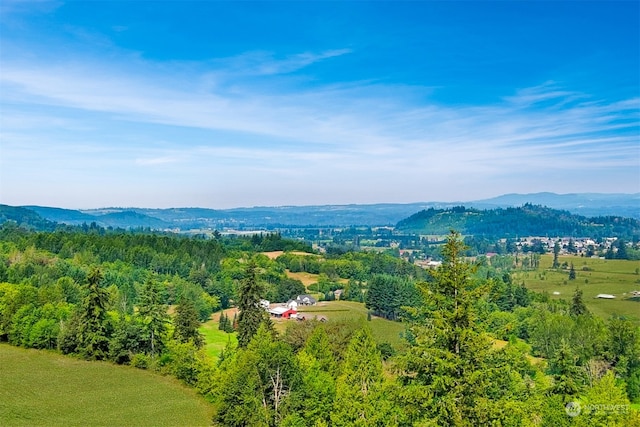 drone / aerial view featuring a mountain view