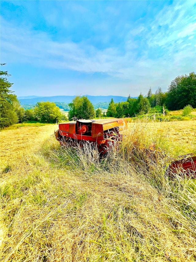 view of yard with a rural view