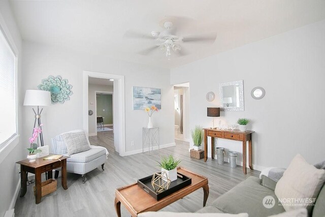 living room with ceiling fan and light wood-type flooring