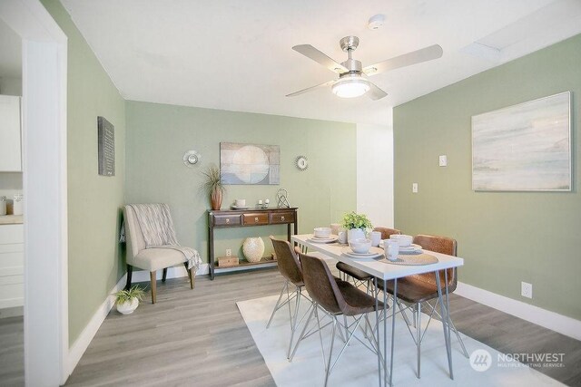 dining room with ceiling fan and light wood-type flooring