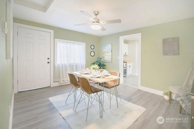 dining area with light hardwood / wood-style flooring and ceiling fan