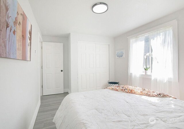 bedroom featuring a closet and hardwood / wood-style floors