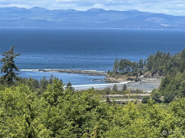 1063 Crescent Bay Ln, Port Angeles WA, 98363 land for sale