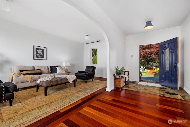 living room with dark hardwood / wood-style flooring