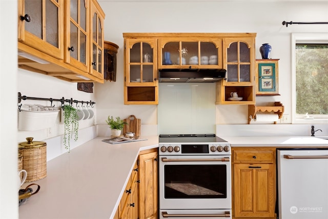 kitchen featuring white electric range oven and dishwashing machine