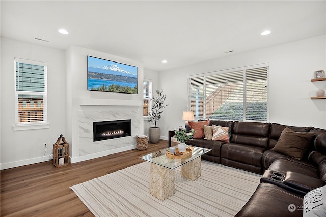 living room with a premium fireplace, a wealth of natural light, and wood-type flooring