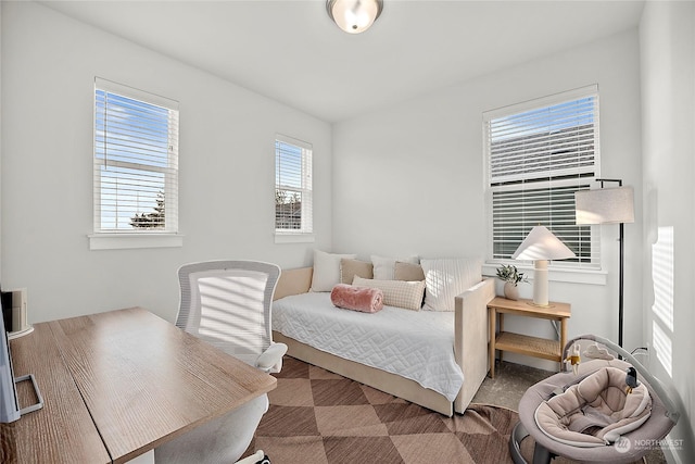 bedroom featuring carpet flooring