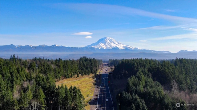 property view of mountains