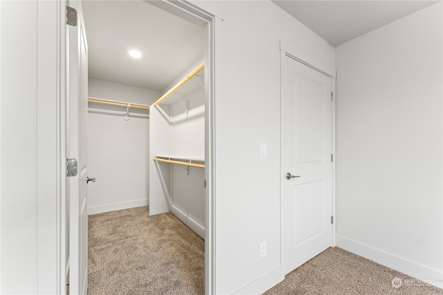 spacious closet with light colored carpet