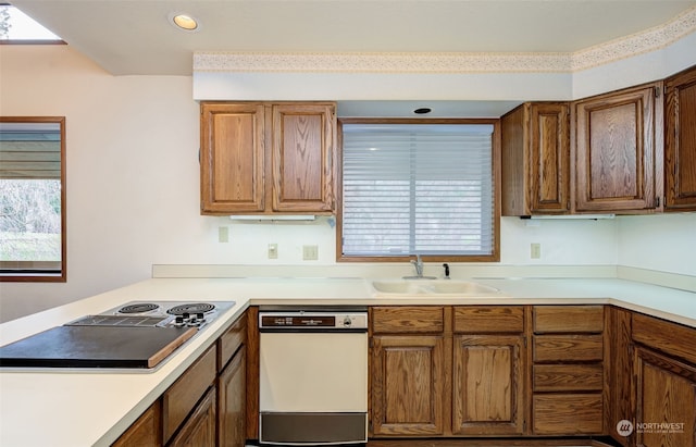 kitchen featuring sink, dishwasher, and electric stovetop