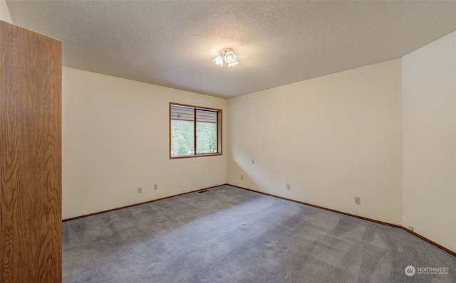 spare room featuring a textured ceiling and light colored carpet