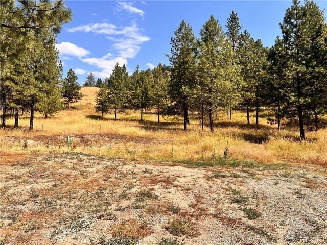 142 Art Creek Rd, Malo, WA 91150 - photo 19