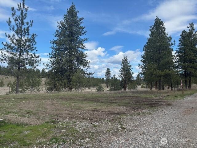 142 Art Creek Rd, Malo, WA 91150 - photo 2