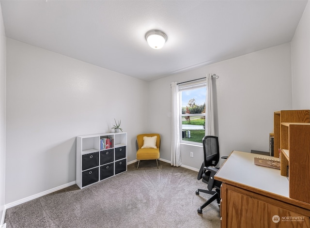 office area featuring carpet flooring