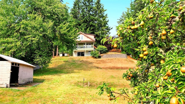 view of yard with an outdoor structure