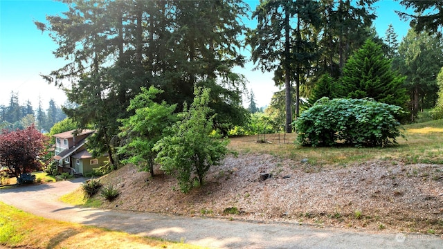 view of yard with a garage