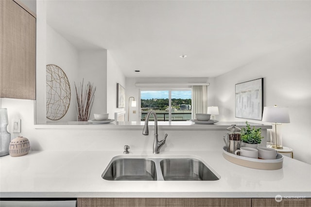 kitchen with stainless steel dishwasher and sink