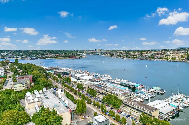 bird's eye view with a water view