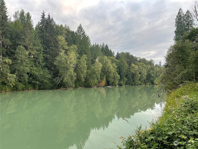 water view featuring a forest view