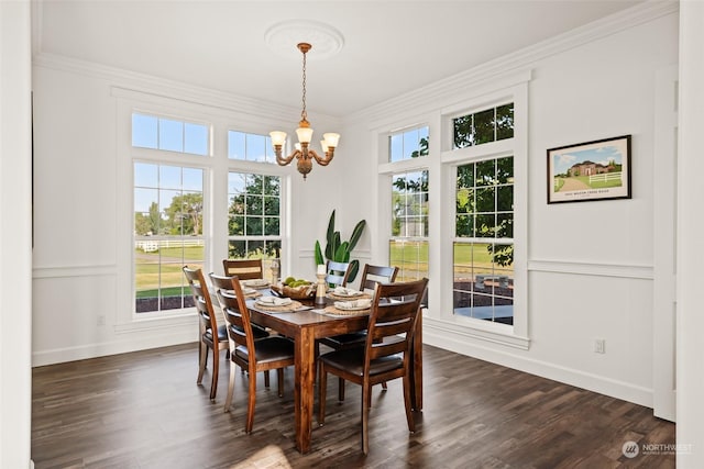 dining room with an inviting chandelier, crown molding, and dark hardwood / wood-style floors