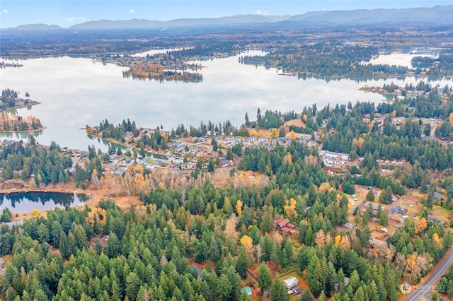 5311 185th Avenue Ct E, Lake Tapps, WA 98391