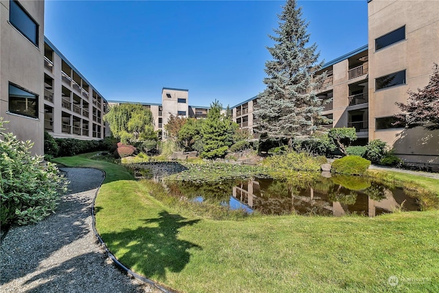 view of property's community featuring a lawn