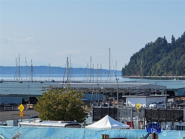 view of water feature