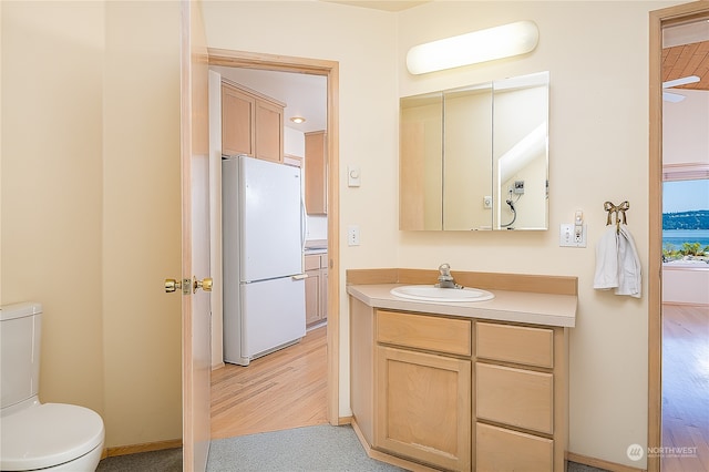 bathroom featuring vanity, toilet, and hardwood / wood-style flooring