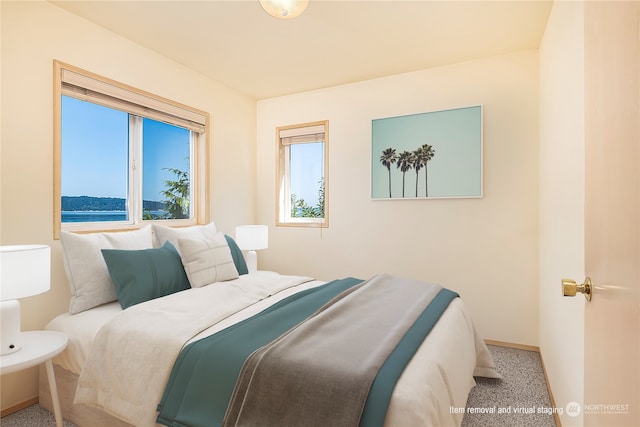 bedroom featuring a water view, multiple windows, and carpet