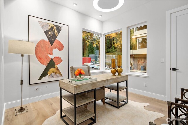 home office featuring light hardwood / wood-style flooring and a wealth of natural light