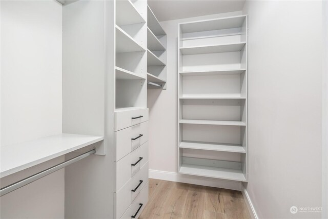 spacious closet with light wood-type flooring