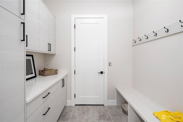 mudroom featuring light hardwood / wood-style flooring