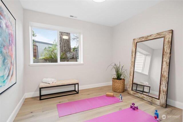 workout room with light hardwood / wood-style flooring and a healthy amount of sunlight