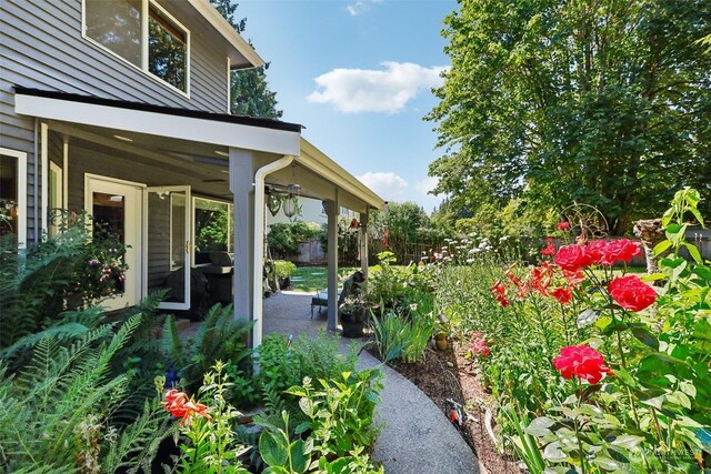 view of yard featuring a patio