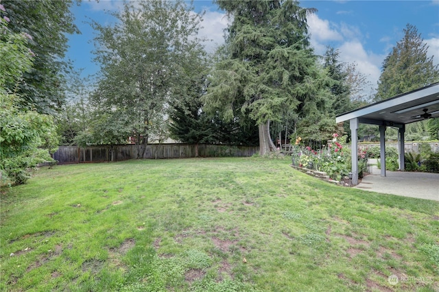 view of yard featuring a patio area