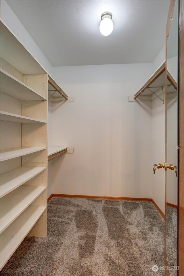 walk in closet featuring carpet