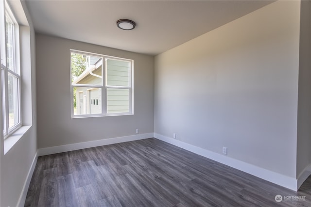 empty room with hardwood / wood-style floors