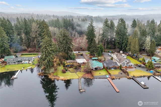 32524 Benbow Dr E, Graham, WA 98338 - photo 1