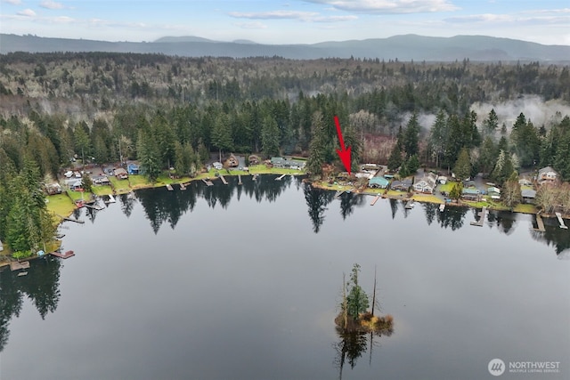 32524 Benbow Dr E, Graham, WA 98338 - photo 18