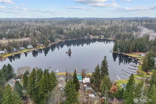 32524 Benbow Dr E, Graham, WA 98338 - photo 19