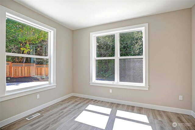 spare room featuring light hardwood / wood-style flooring and a healthy amount of sunlight