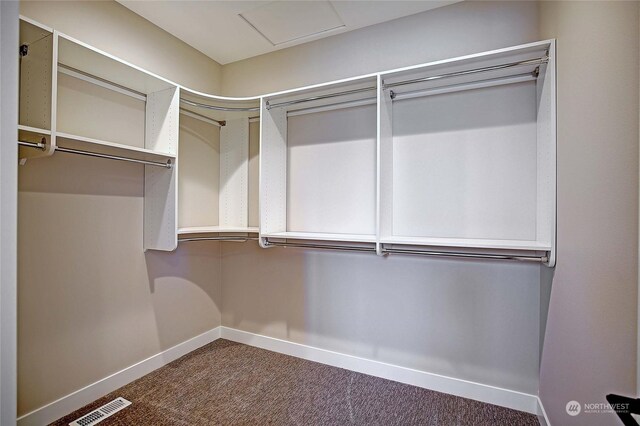 walk in closet with carpet flooring