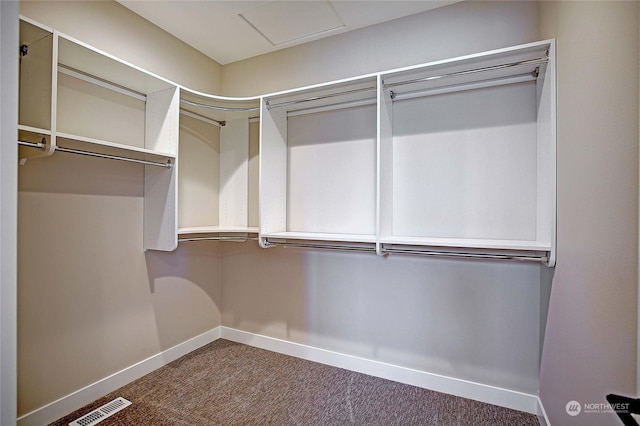 walk in closet with carpet