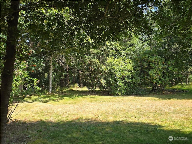 view of yard with a wooded view