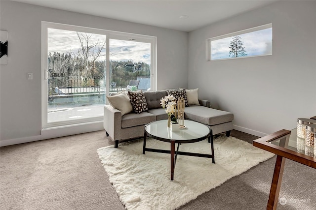 living room with carpet floors