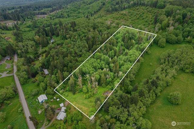 0 Salmon Creek Rd, Mossyrock WA, 98564 land for sale