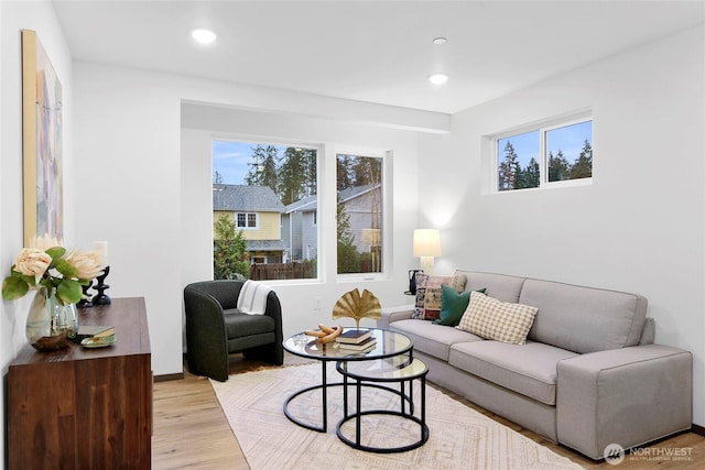 living room with a wealth of natural light and light hardwood / wood-style flooring