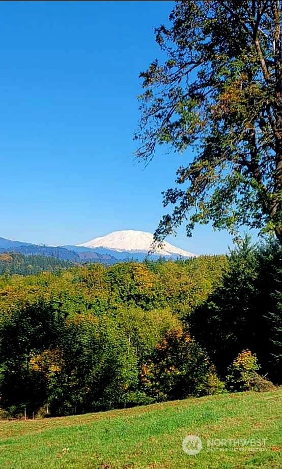 view of mountain feature