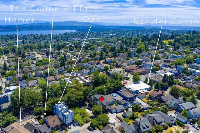 3039 Beacon Ave S Unit A, Seattle, WA 98144 - aerial view of residential area featuring property boundaries highlighted and a water and mountain view