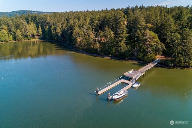 birds eye view of property with a water view and a wooded view